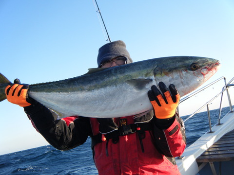 DSCF0380 - コピー