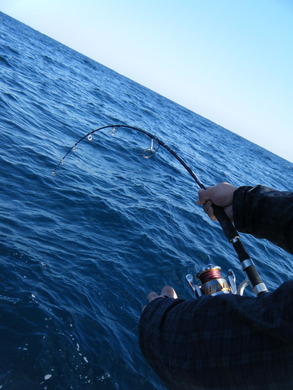 DSCF0399 - コピー