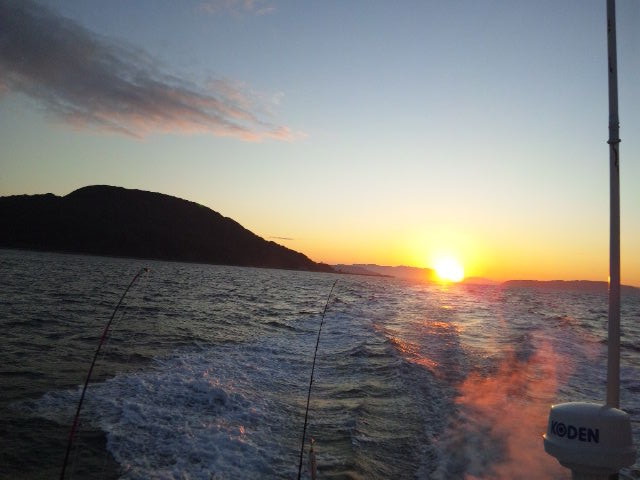 1月8日　釣果